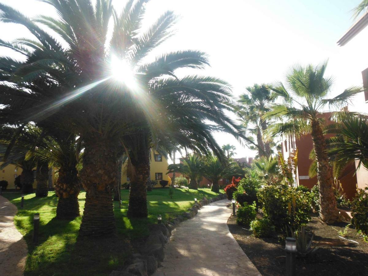 Oasis Vistamar Corralejo Exterior foto